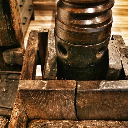 Kinzigloft Mit Blick Auf Den Fluss Appartement Gelnhausen