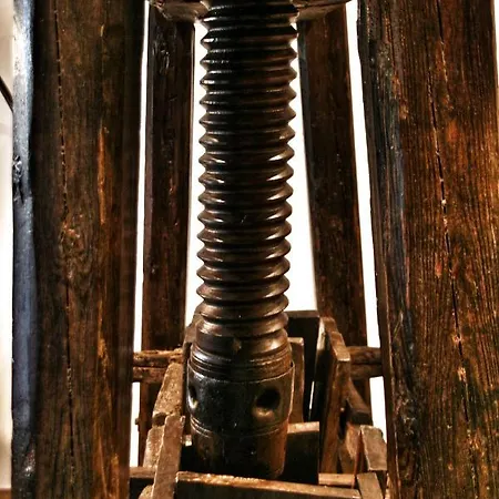 Kinzigloft Mit Blick Auf Den Fluss Appartement